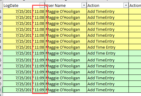 audit-two-time-entries-timestamp.png
