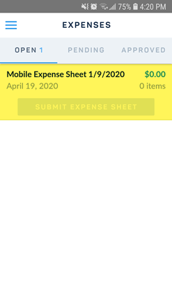 open-empty-expense-sheet.png