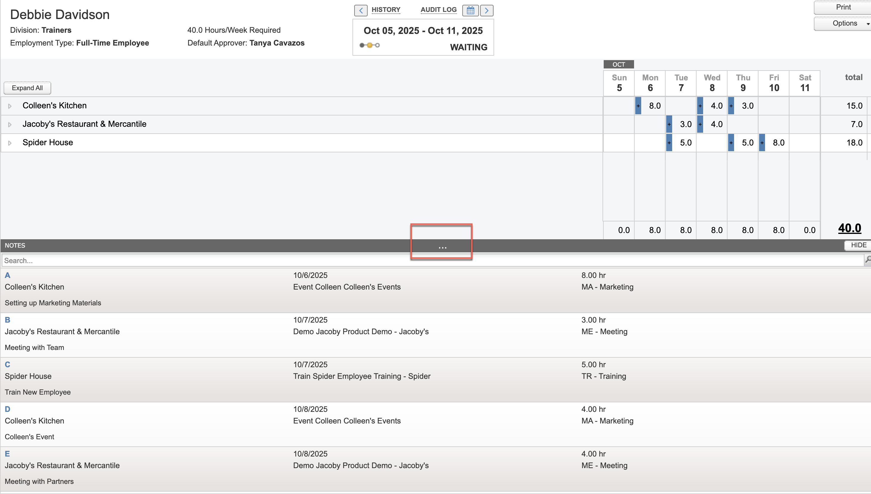Notes panel in Timesheet View