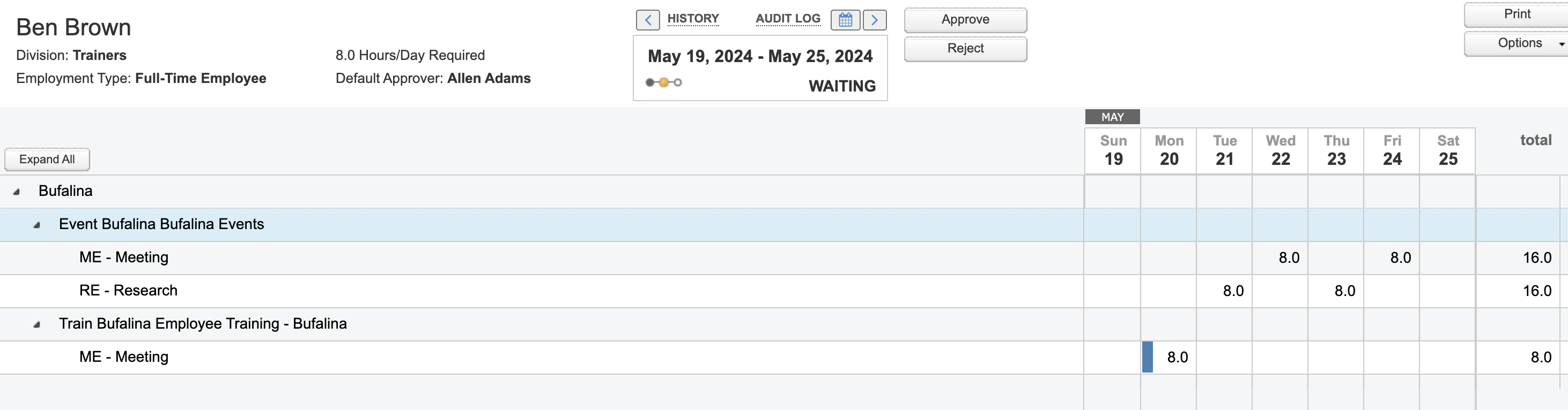 Timesheet View details