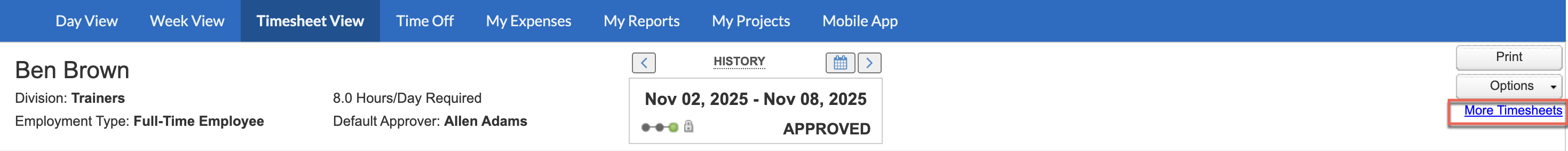 More timesheets link in Timesheet View