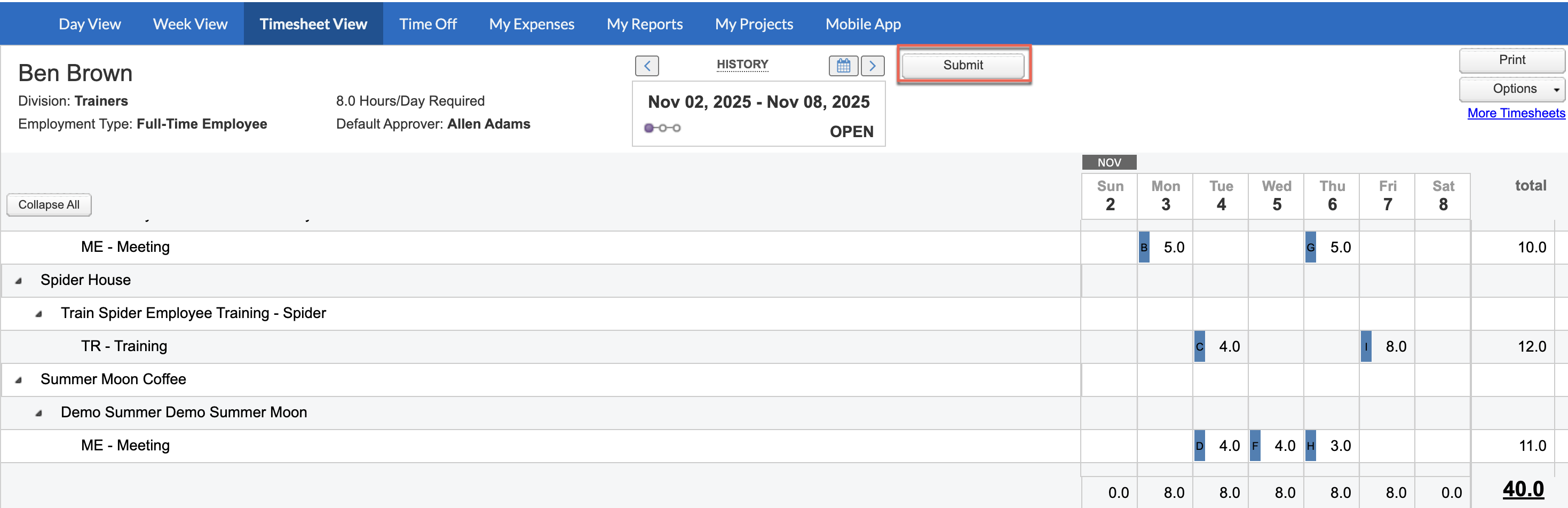 Submit for Approval button on Timesheet View