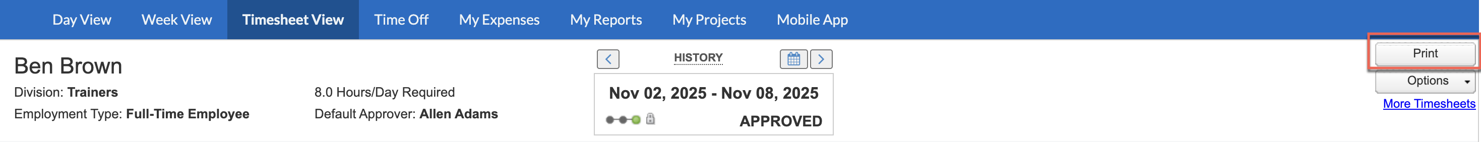 Print button in Timesheet View