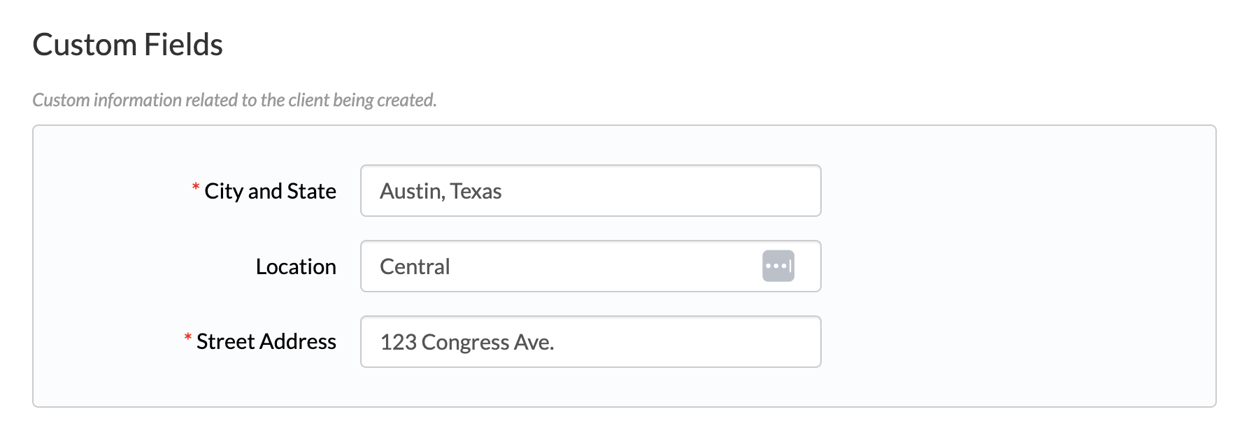 Client Basic Information with example custom fields