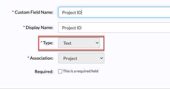 Text custom field shown on entry