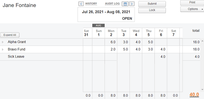 Example employee timesheet used by the Grant Allocation report